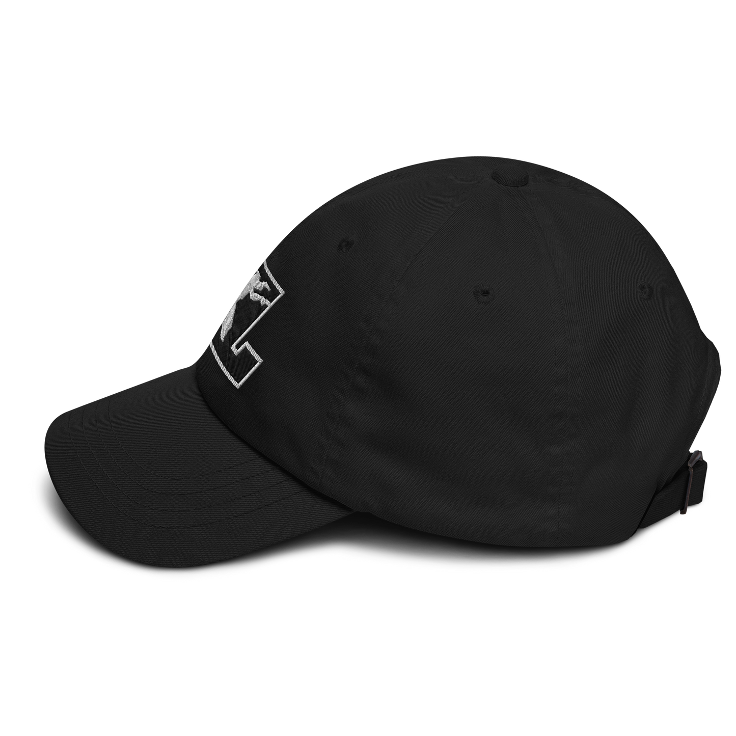 Cap Black with White Outline DL Logo