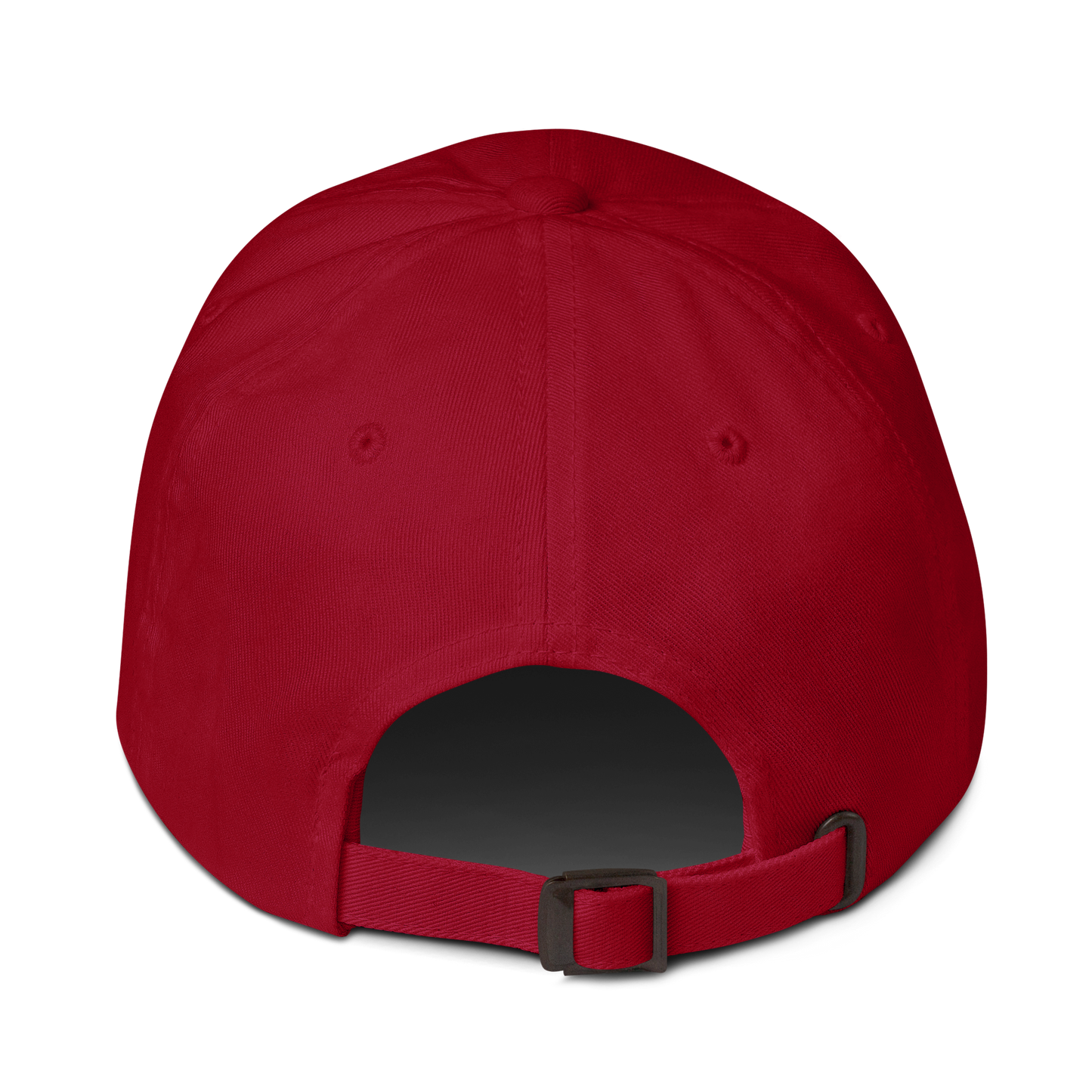 Cap Color with White Outline DL Logo