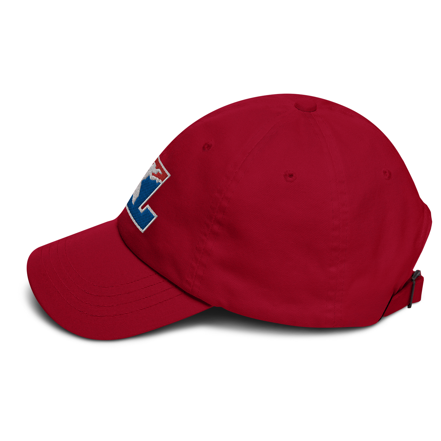 Cap Color with White Outline DL Logo