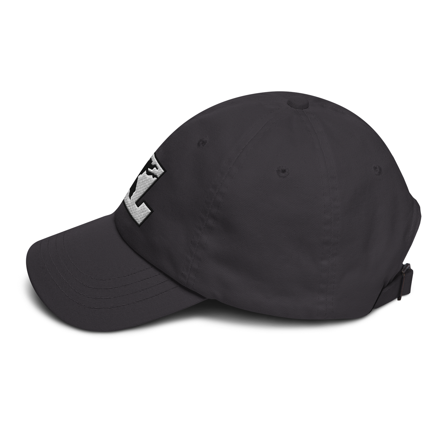 Cap White with Black Outline DL Logo (Front+Back)