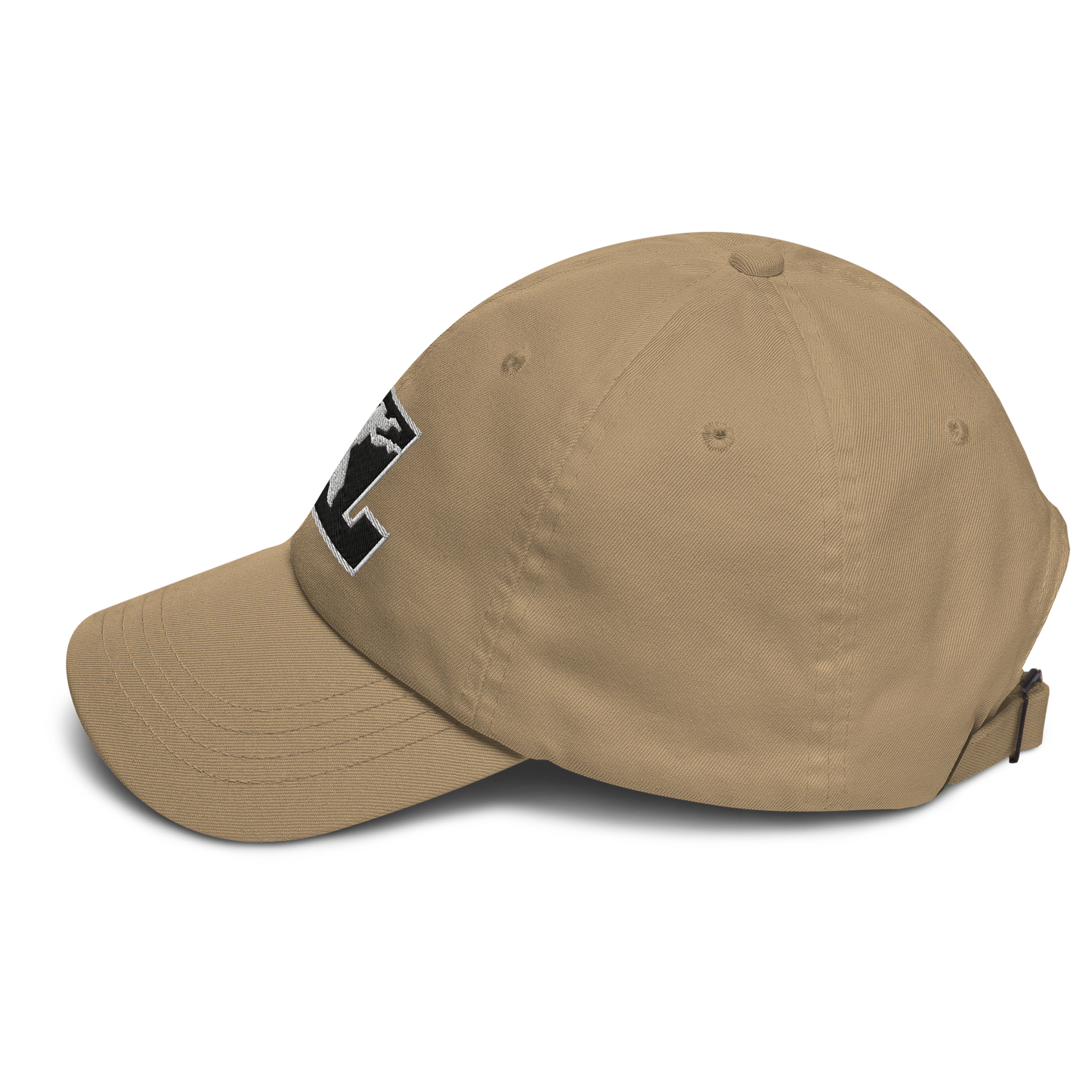 Cap Black with White Outline DL Logo