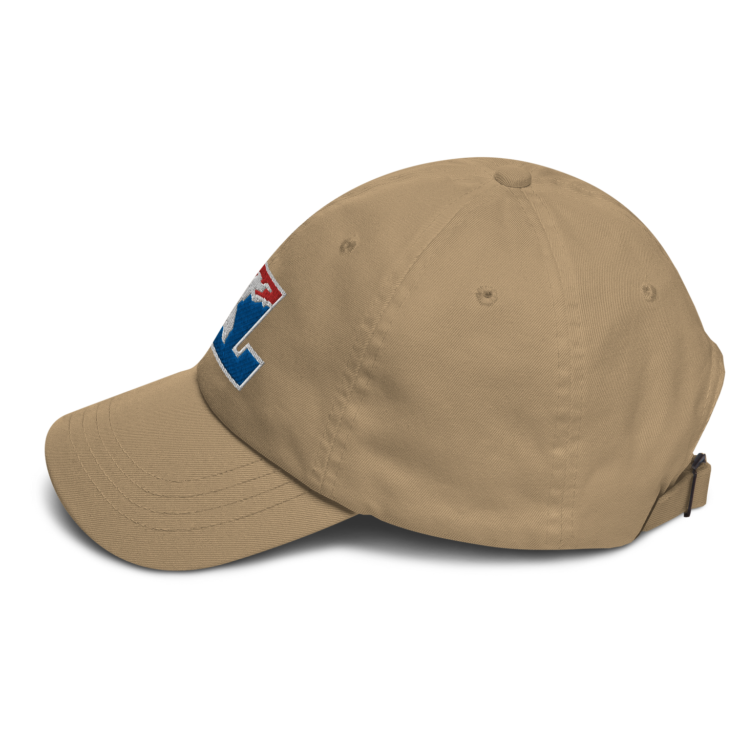 Cap Color with White Outline DL Logo