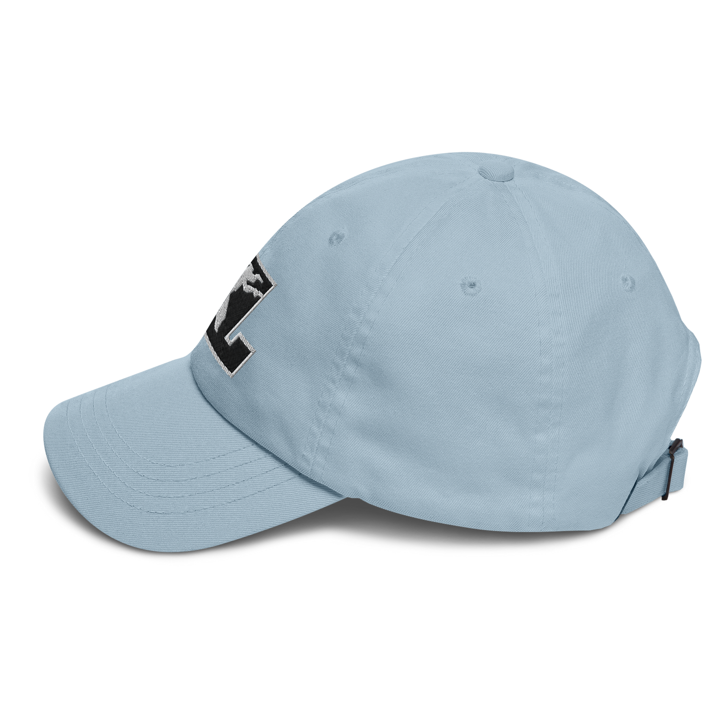 Cap Black with White Outline DL Logo