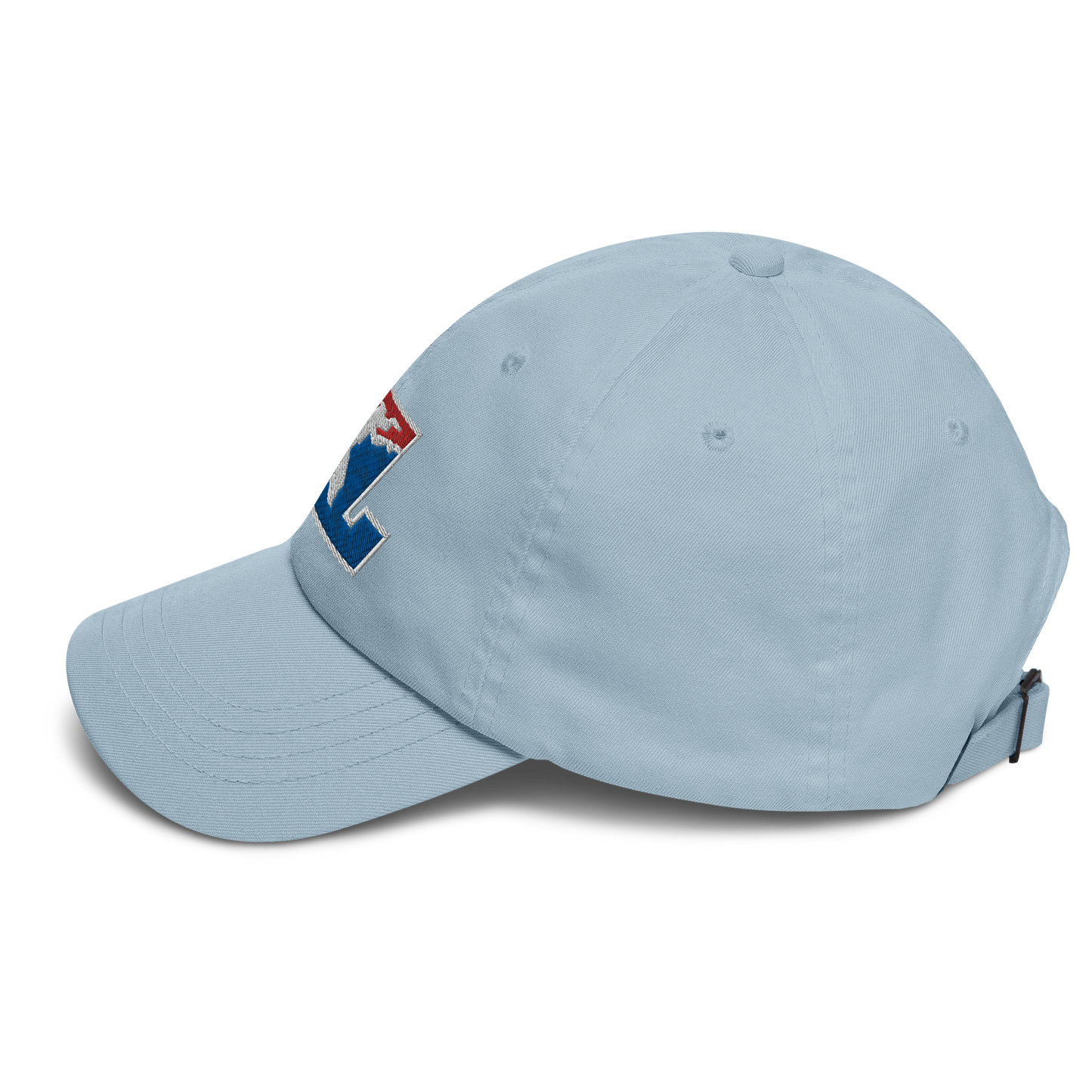 Cap Color with White Outline DL Logo