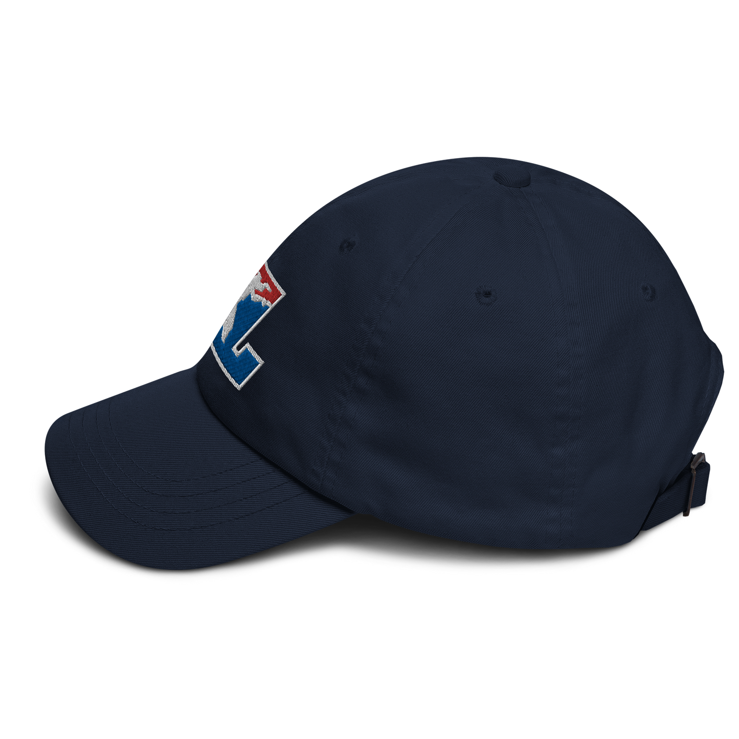 Cap Color with White Outline DL Logo