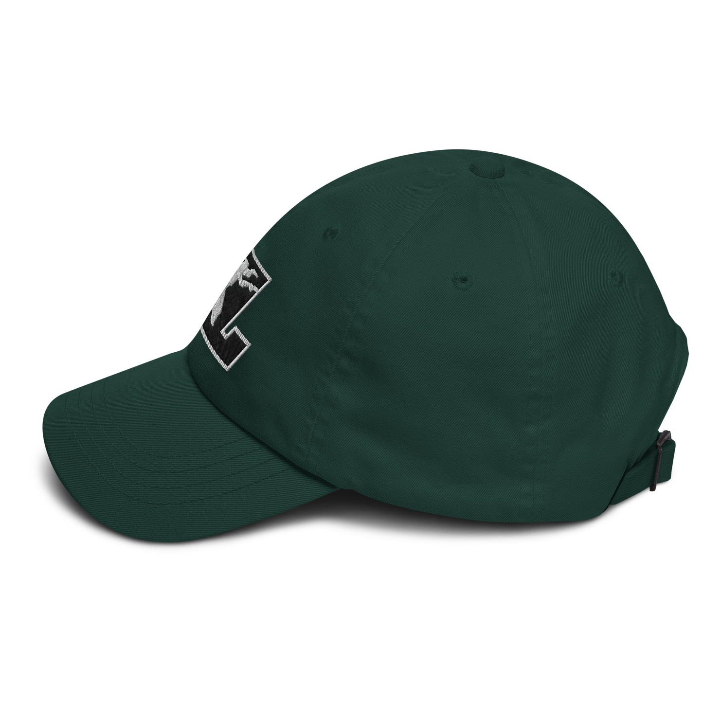 Cap Black with White Outline DL Logo